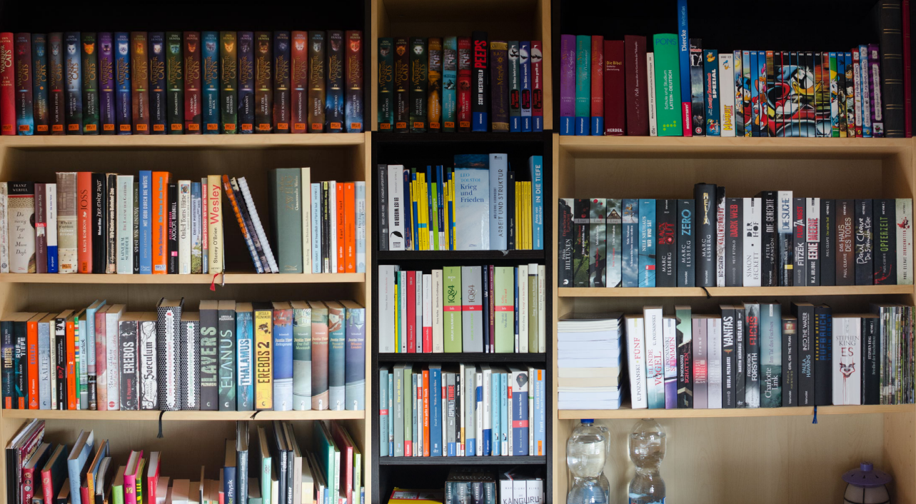 Gut gefülltes Bücherregal