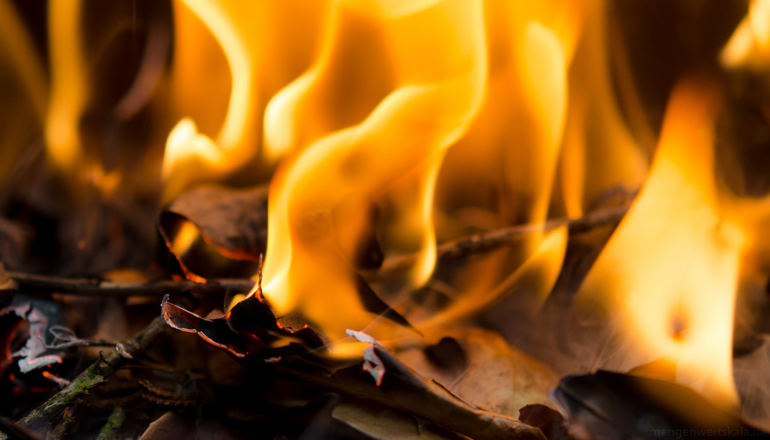 Gesichter im Feuer Gesichter im Feuer