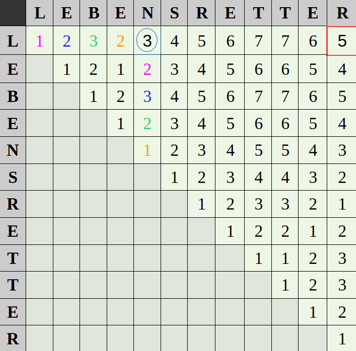 Palindromzerlegung Matrixlösung
